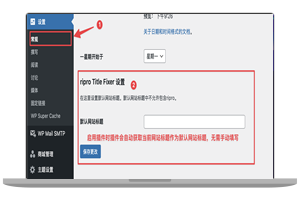 RiPro主题RiPro-V5解决被篡改网站标题方法
